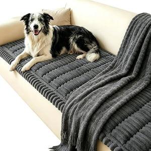 Couch Cover