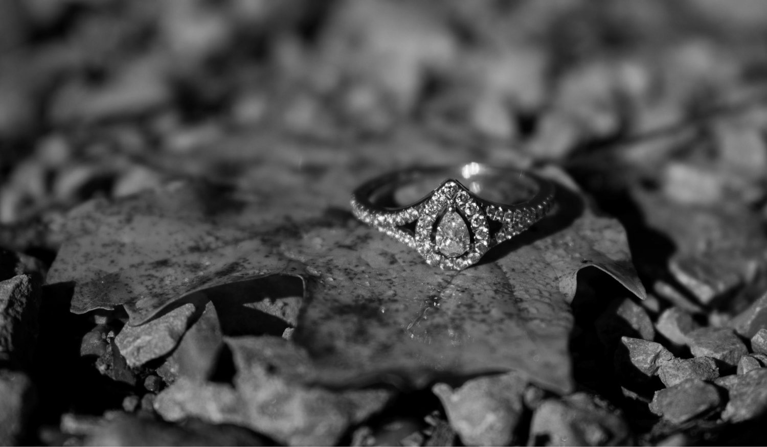The Wedding Website of Arianna Vinson and Trey Cozart