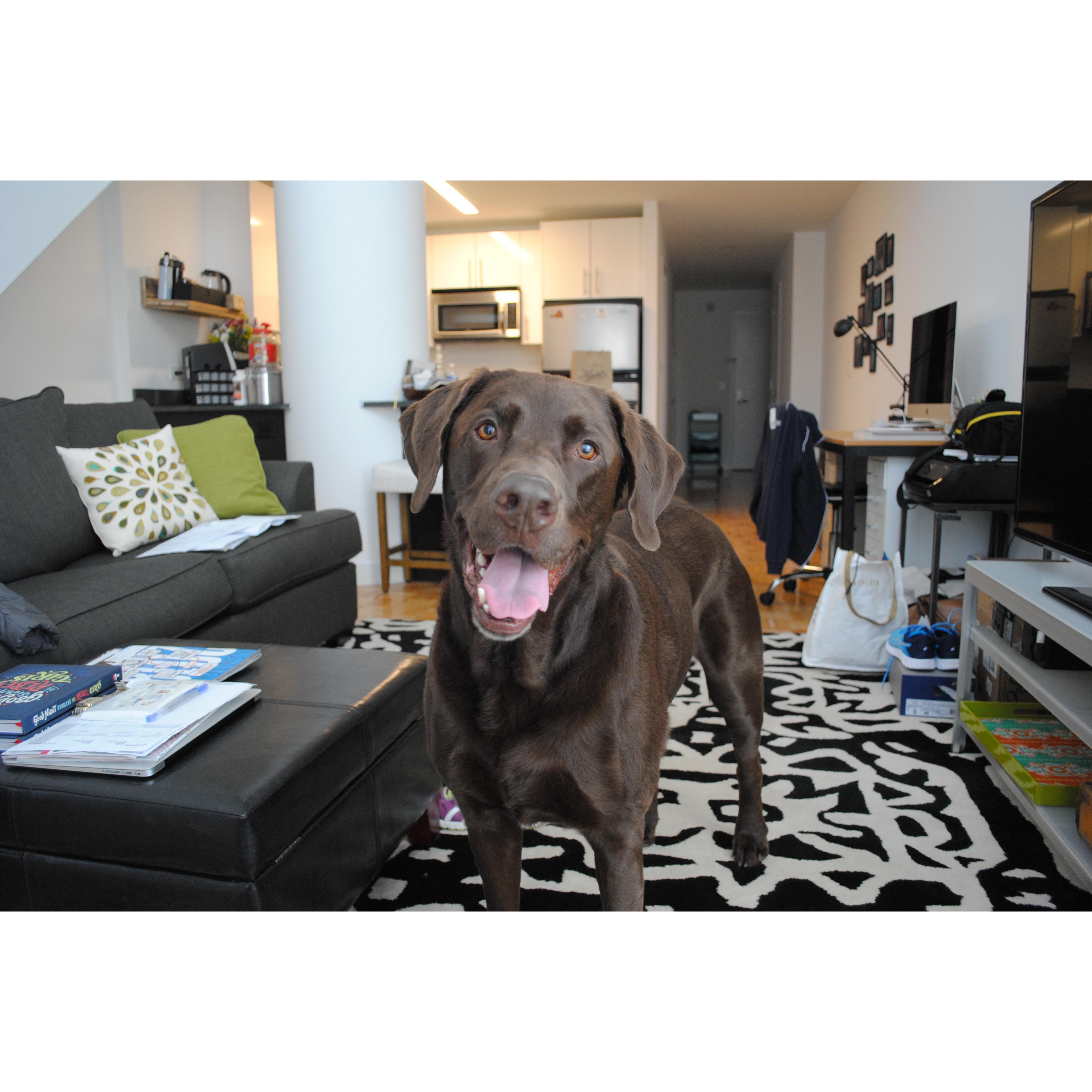 Murphy!