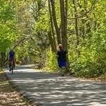 Huckleberry Trail