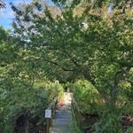 Nature Center of Cape May
