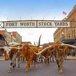 Fort Worth Stockyards Station
