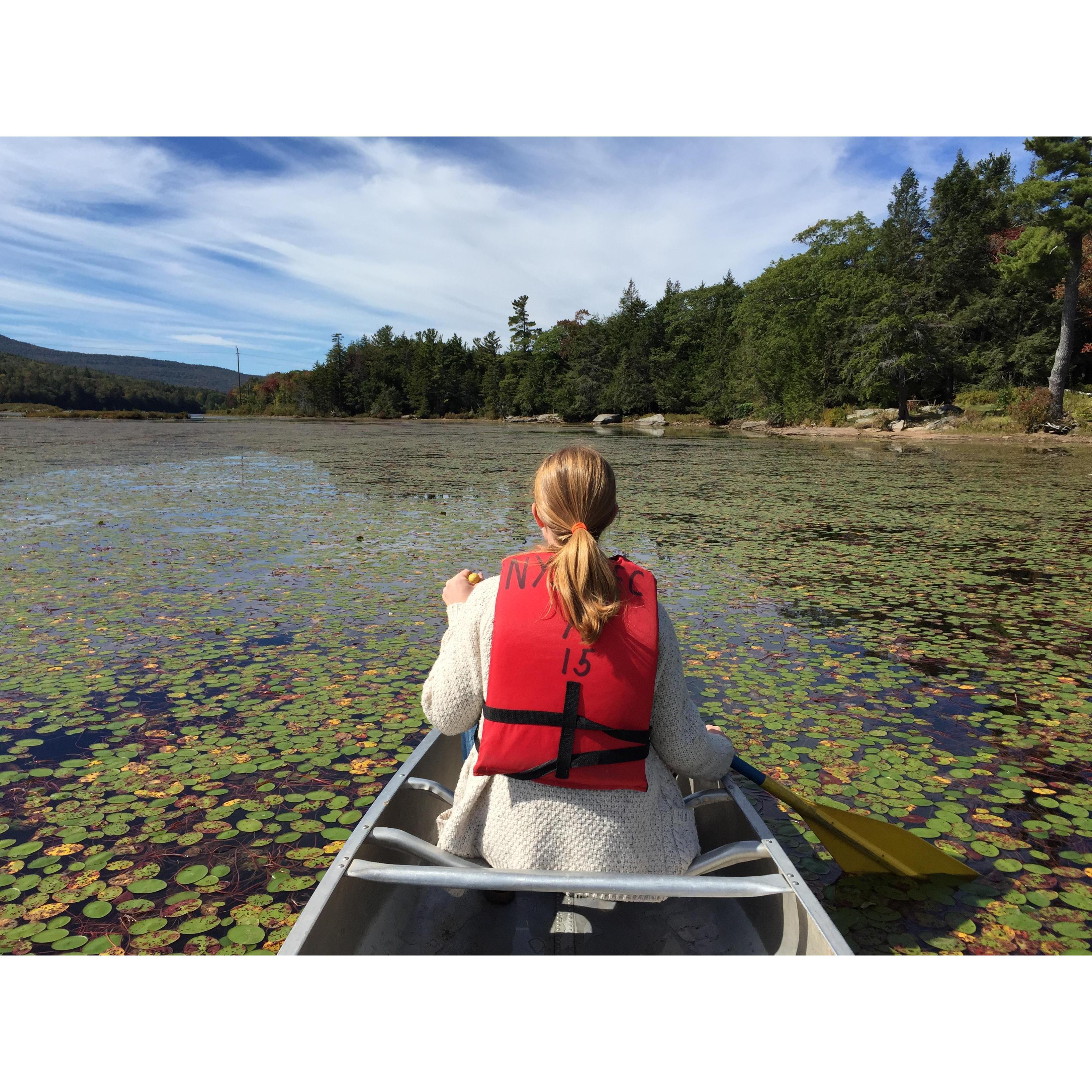 Michele looks for otters.