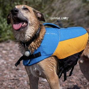 Astral BirdDog Canine Life Jacket - Large