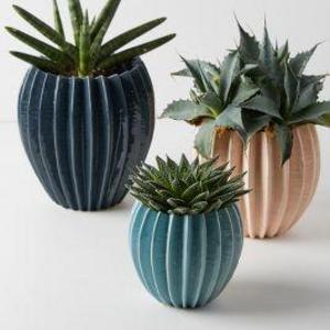 Ridged Pot
