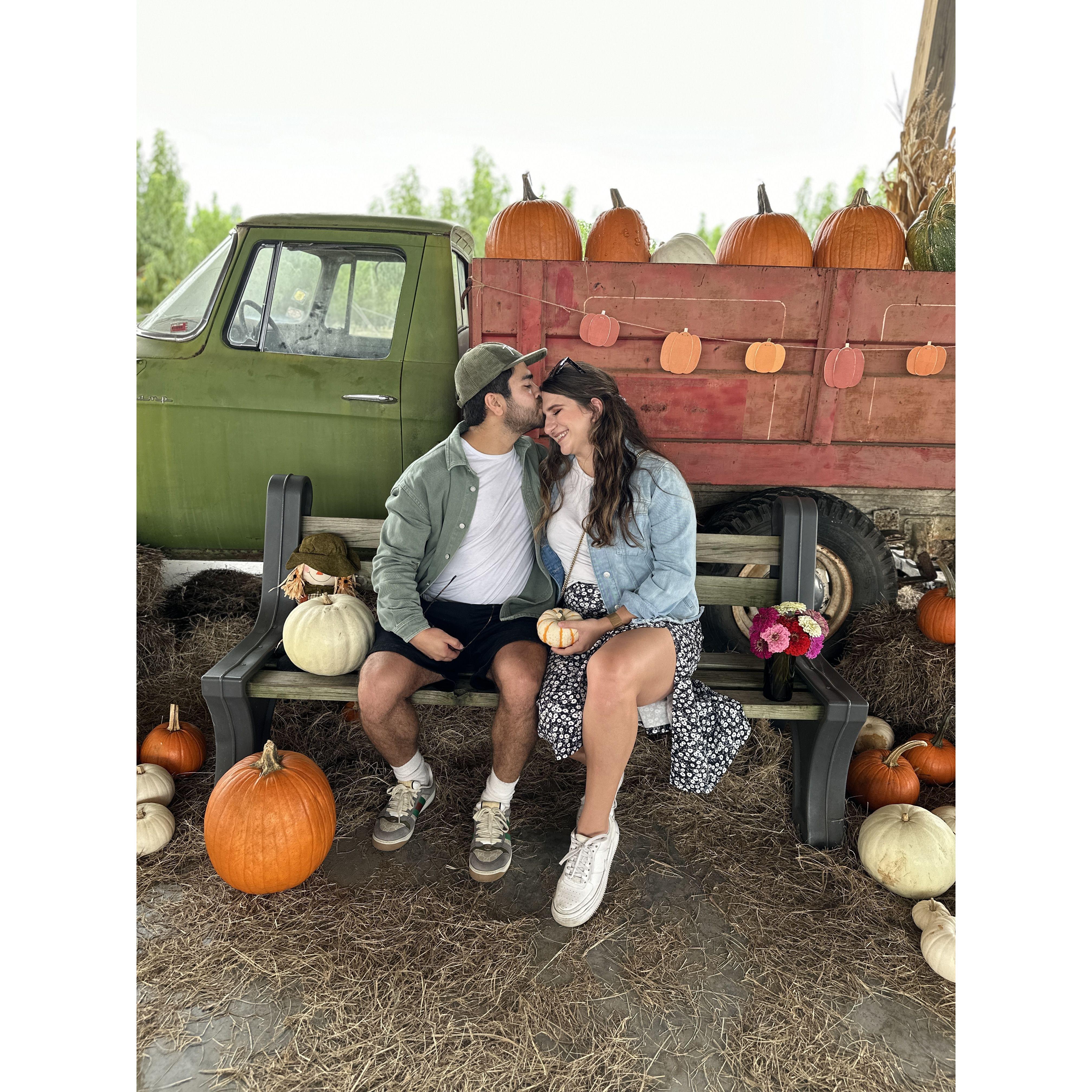 Picking Pumpkins!