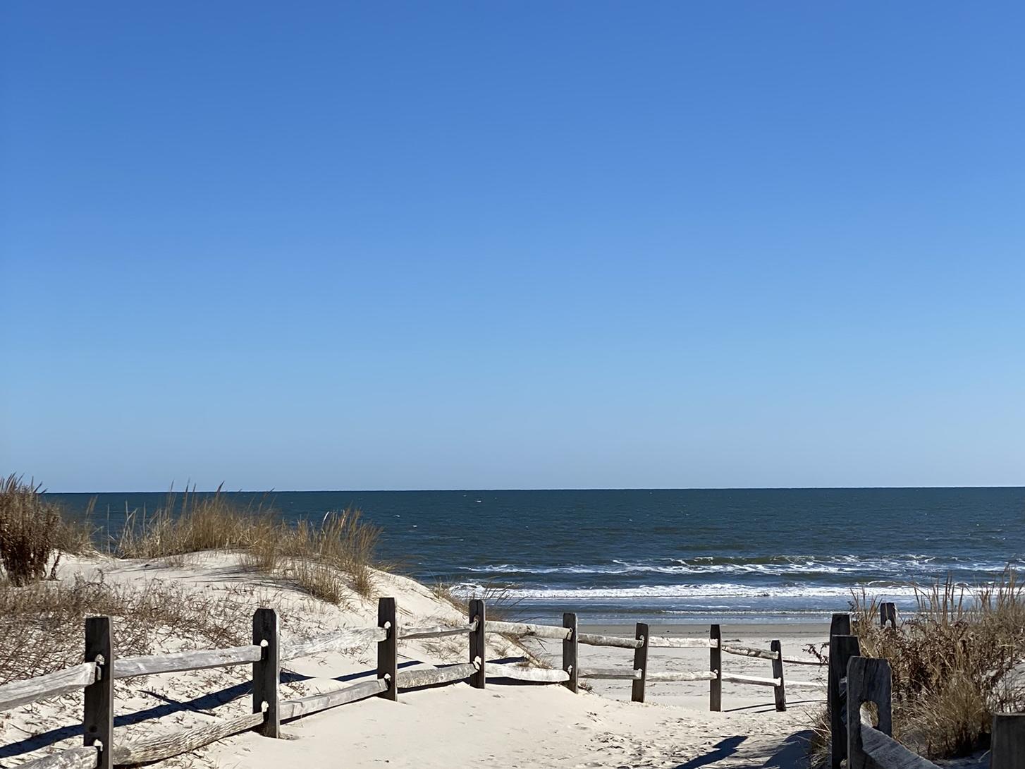 The Wedding Website of Lisa Hildreth and Michael Volpe