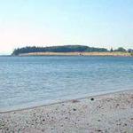 The Back Shore