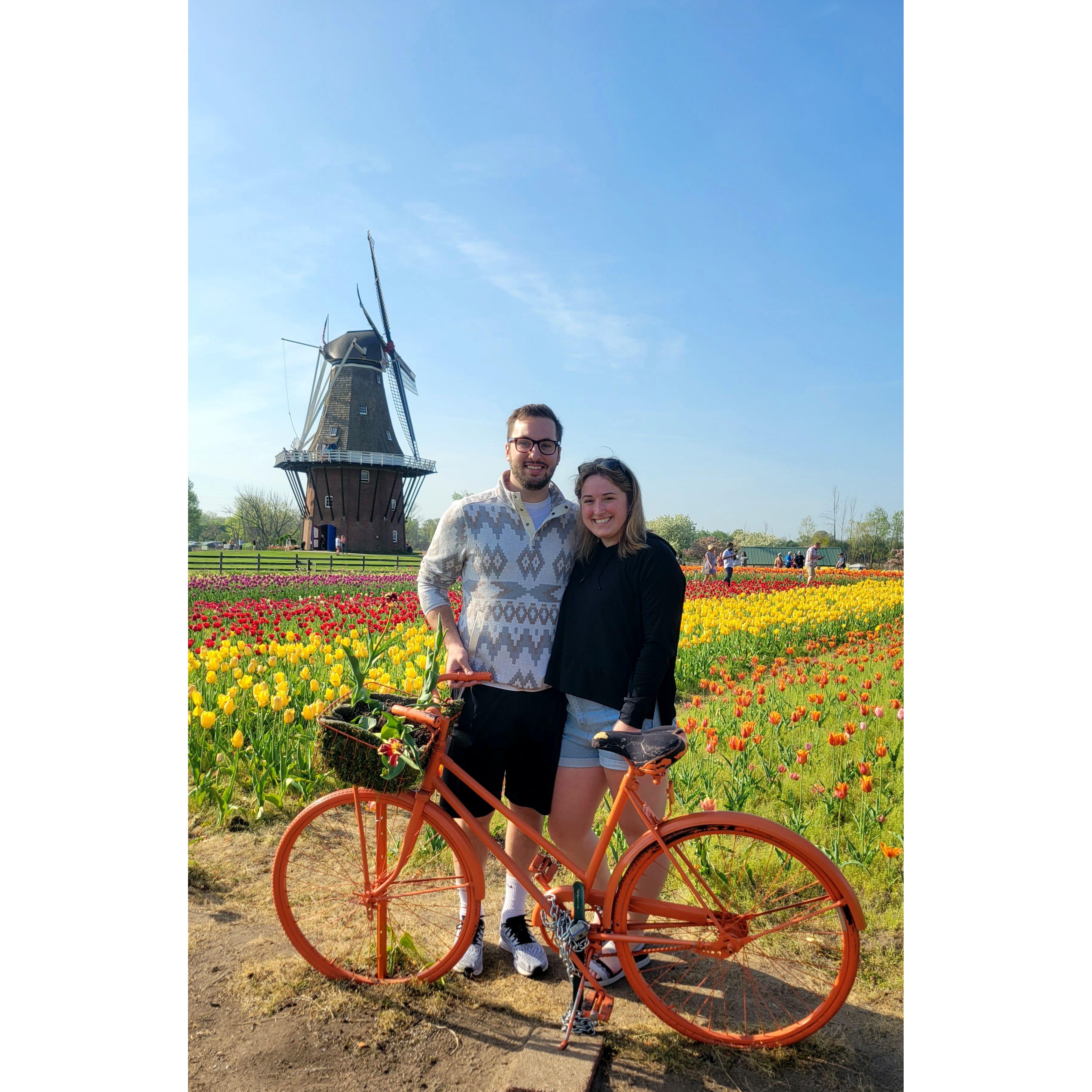 Tulip Festival - Holland, MI