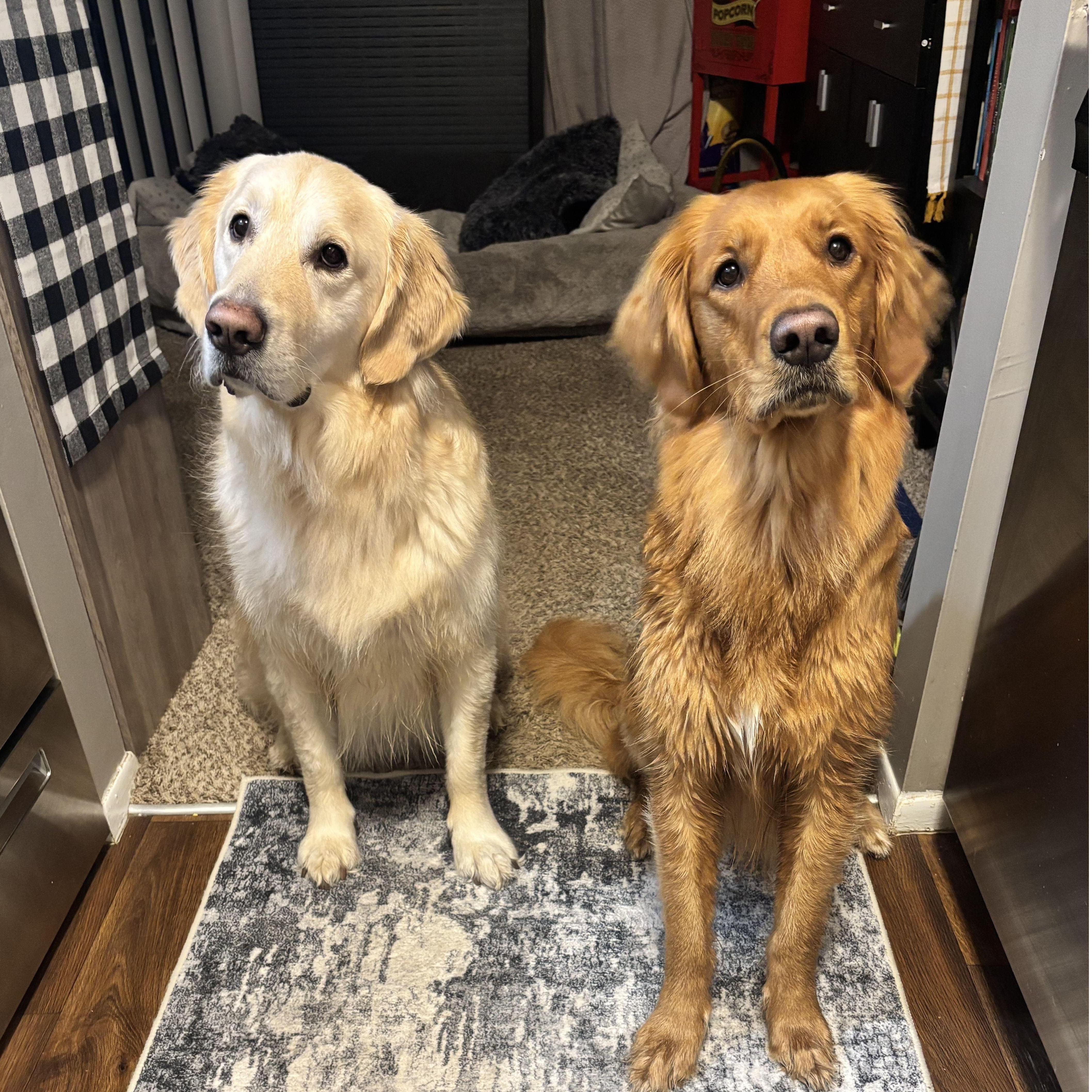 Levi & Oakli <3