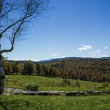 Sugarbush Farm