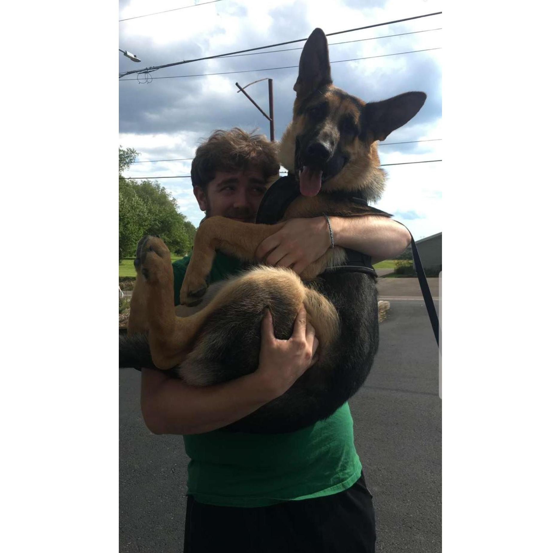 The puppy gets BIG