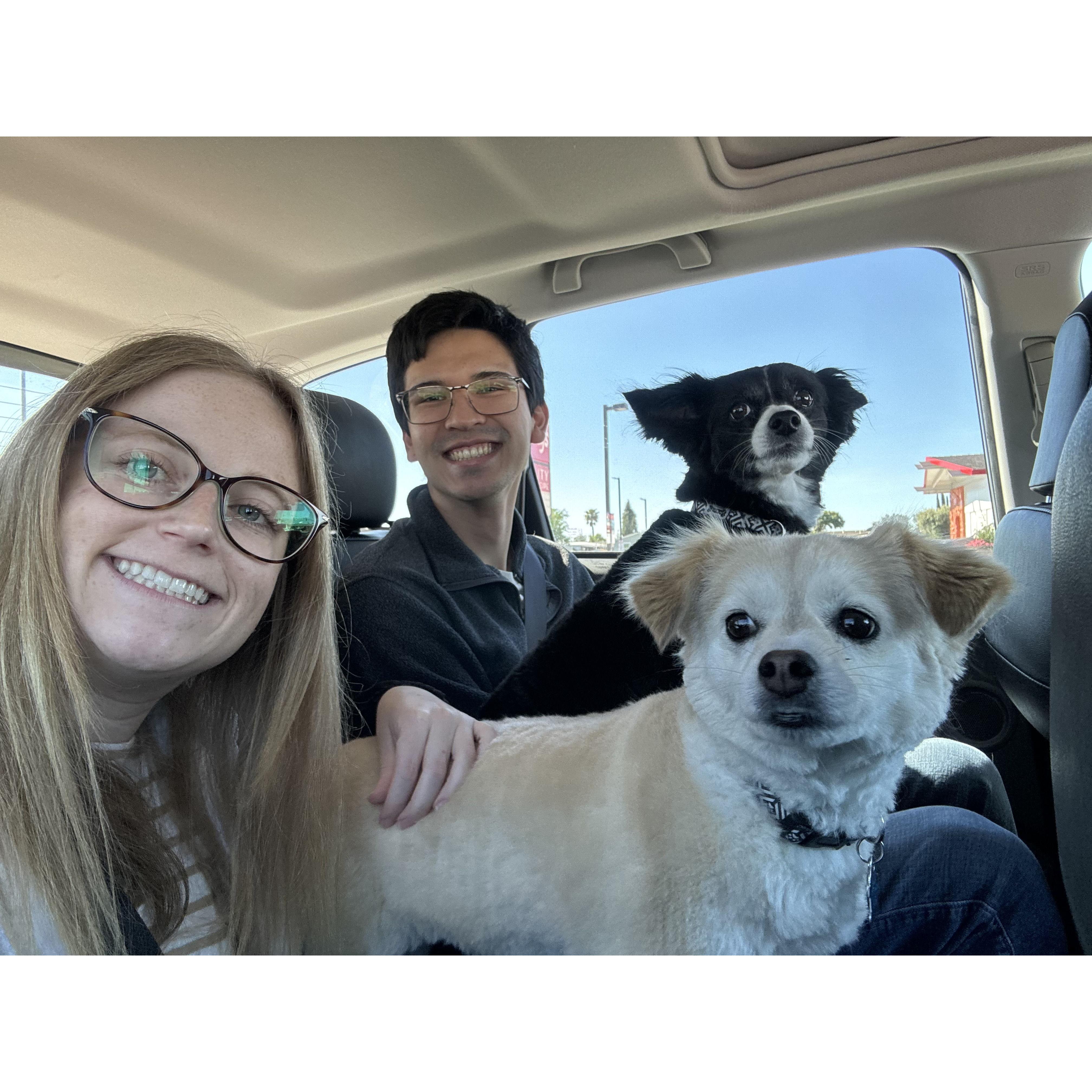 Us with Jared's family's dogs, Parker and Aubrey