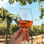 Wilson Creek Winery