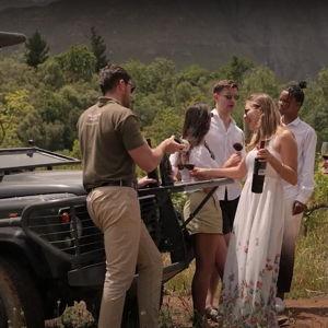 Waterford Estate Wine Drive Safari