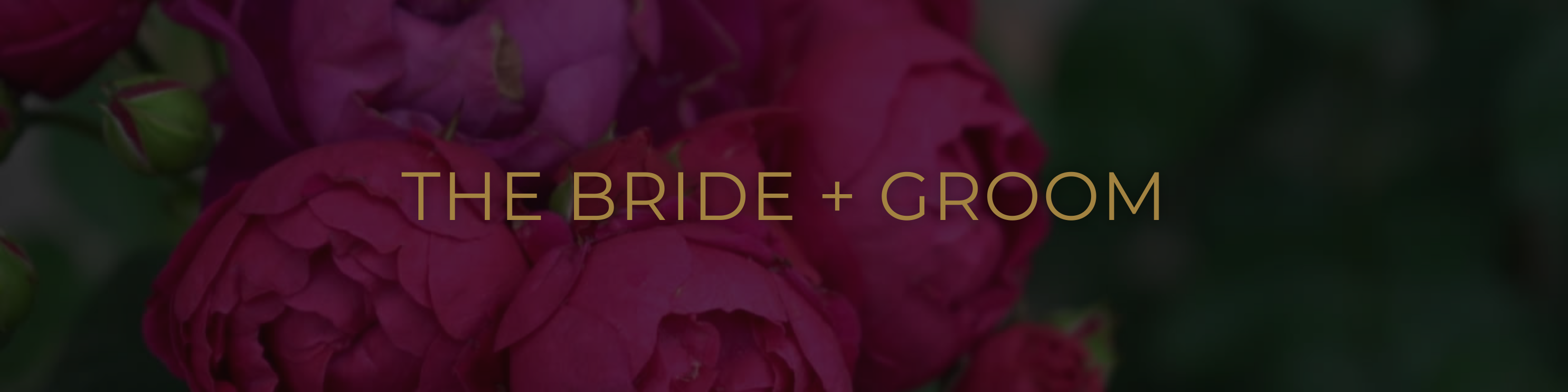 The Wedding Website of Charity Schreier and Dave Schreier