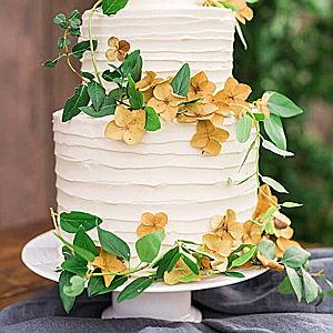 Our newlywed fund