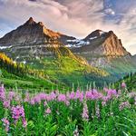 Glacier national park