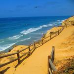 Torrey Pines State Reserve