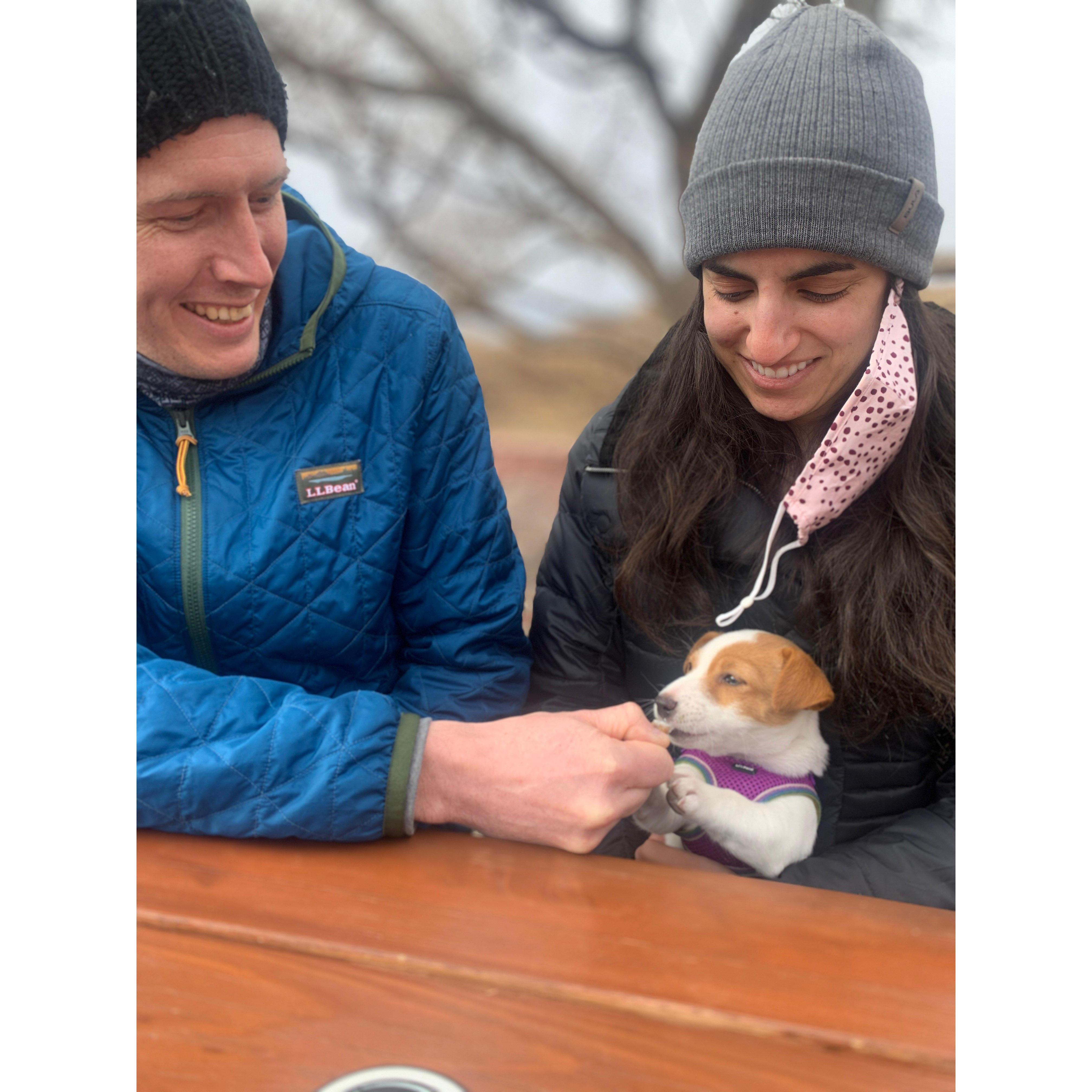 Golden, CO. February 2021.
Hanging out with our little friend Coconut!