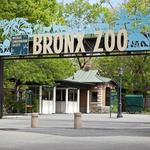 Bronx Zoo