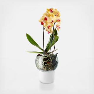 Self Watering Orchid Pot