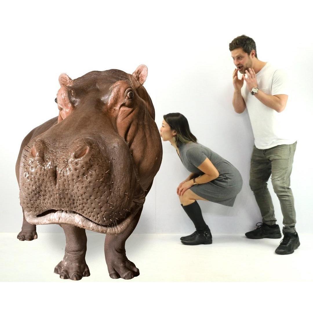 HIPPO: <3 <3 <3