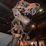 Houston Museum of Natural Science