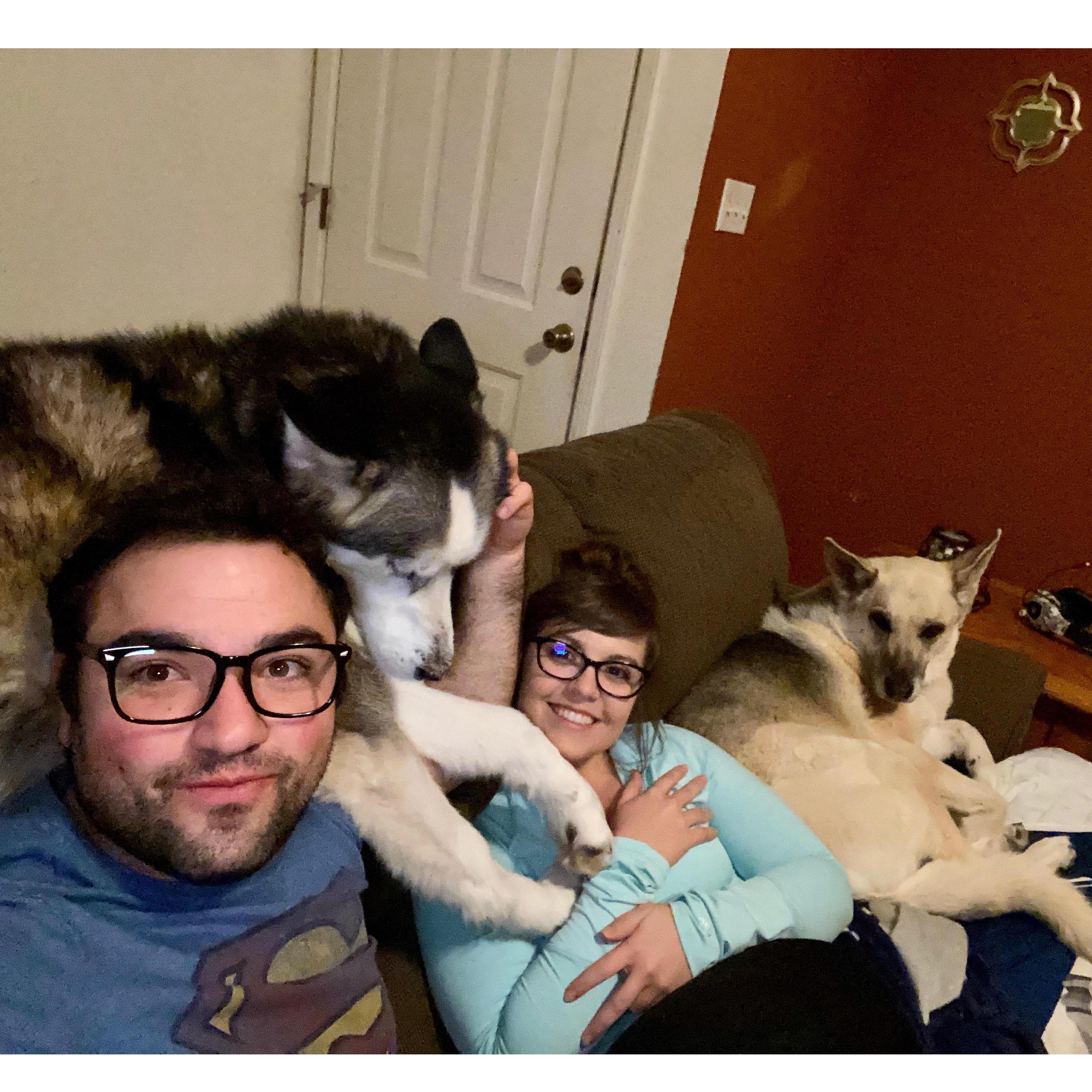 Family pic with the pups 2.2020
