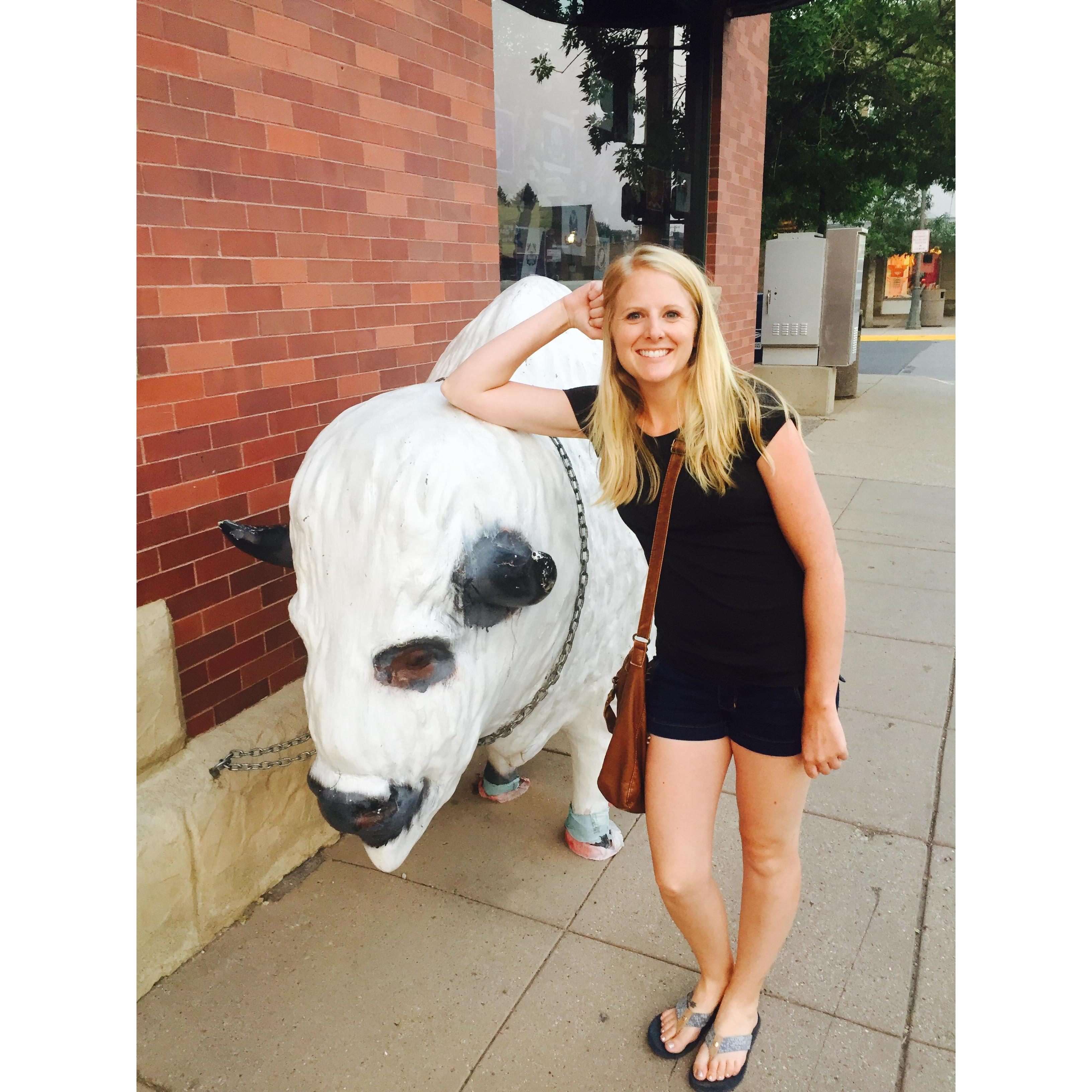 Yellowstone Trip 2017
