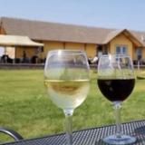 Old Depot Vineyard and Winery