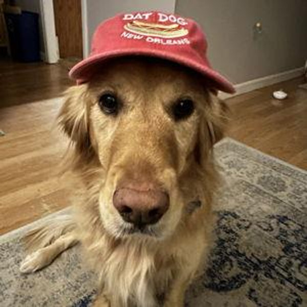 Year's Supply Of Pet Treats