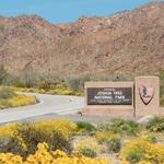 Joshua Tree National Park