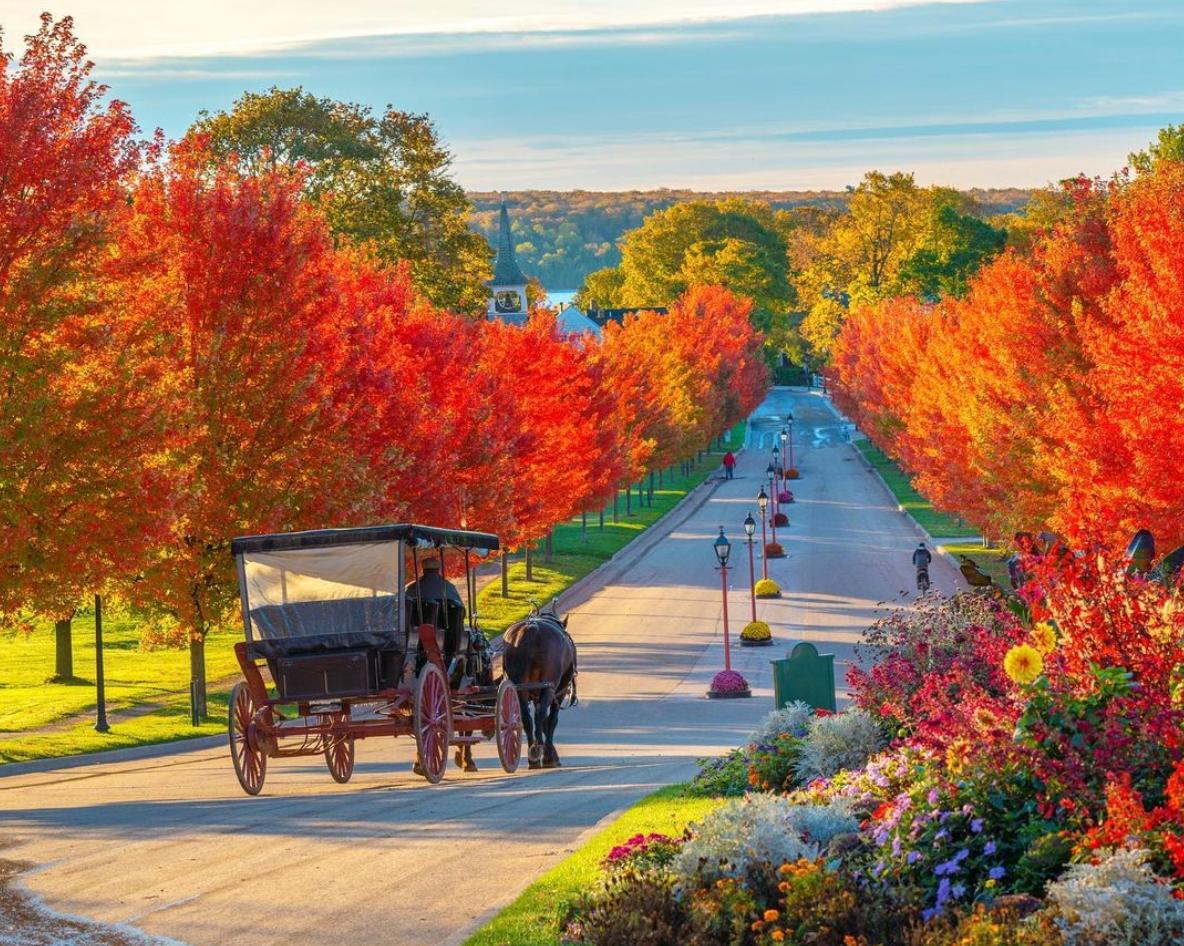 The Wedding Website of Madison Ainley and Jacob Bradley