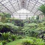 Garfield Park Conservatory