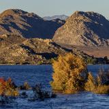 Lake Perris State Recreation Area