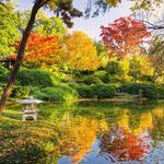 Fort Worth Botanic Garden