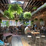 Casual Animal Brewing Co