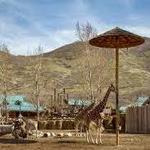 Utah's Hogle Zoo