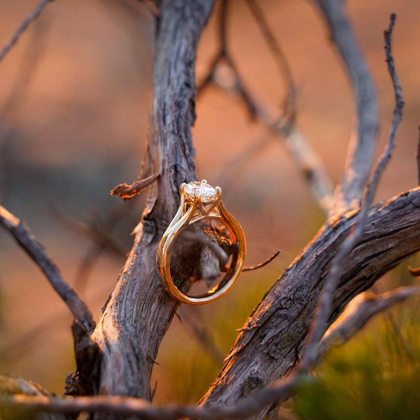 The mini tree at the proposal