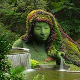 Atlanta Botanical Garden