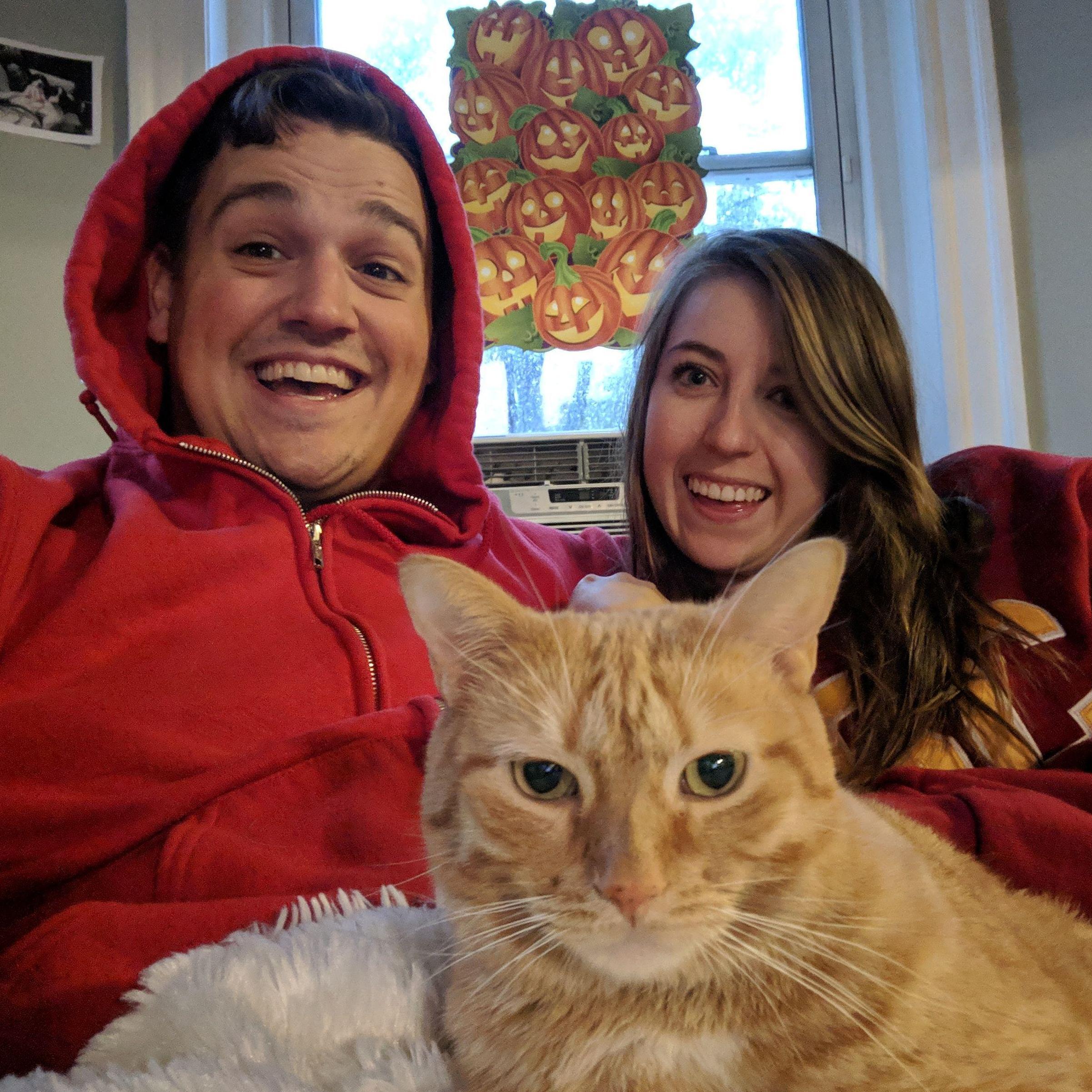 Not our cat