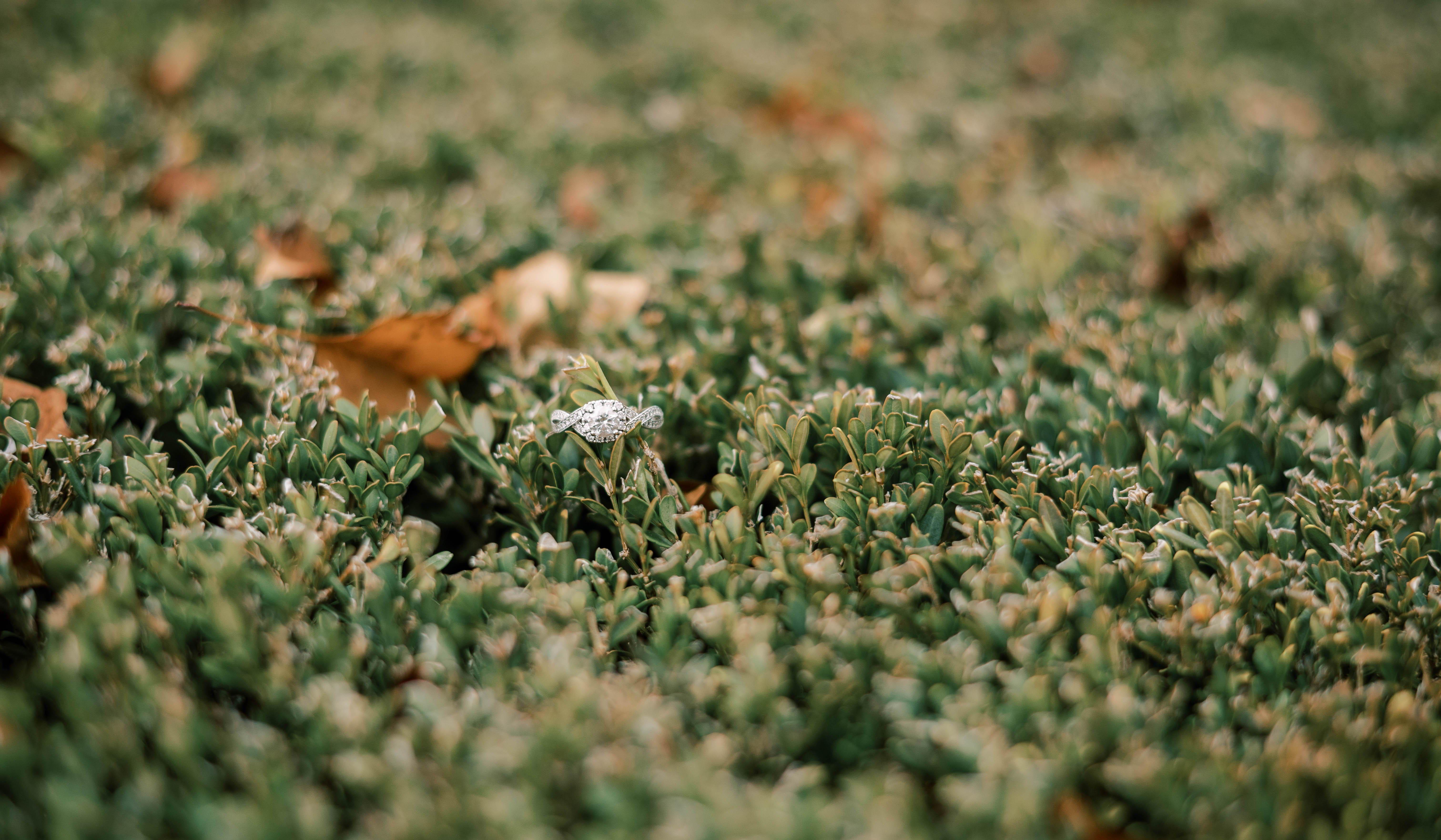 Footer image