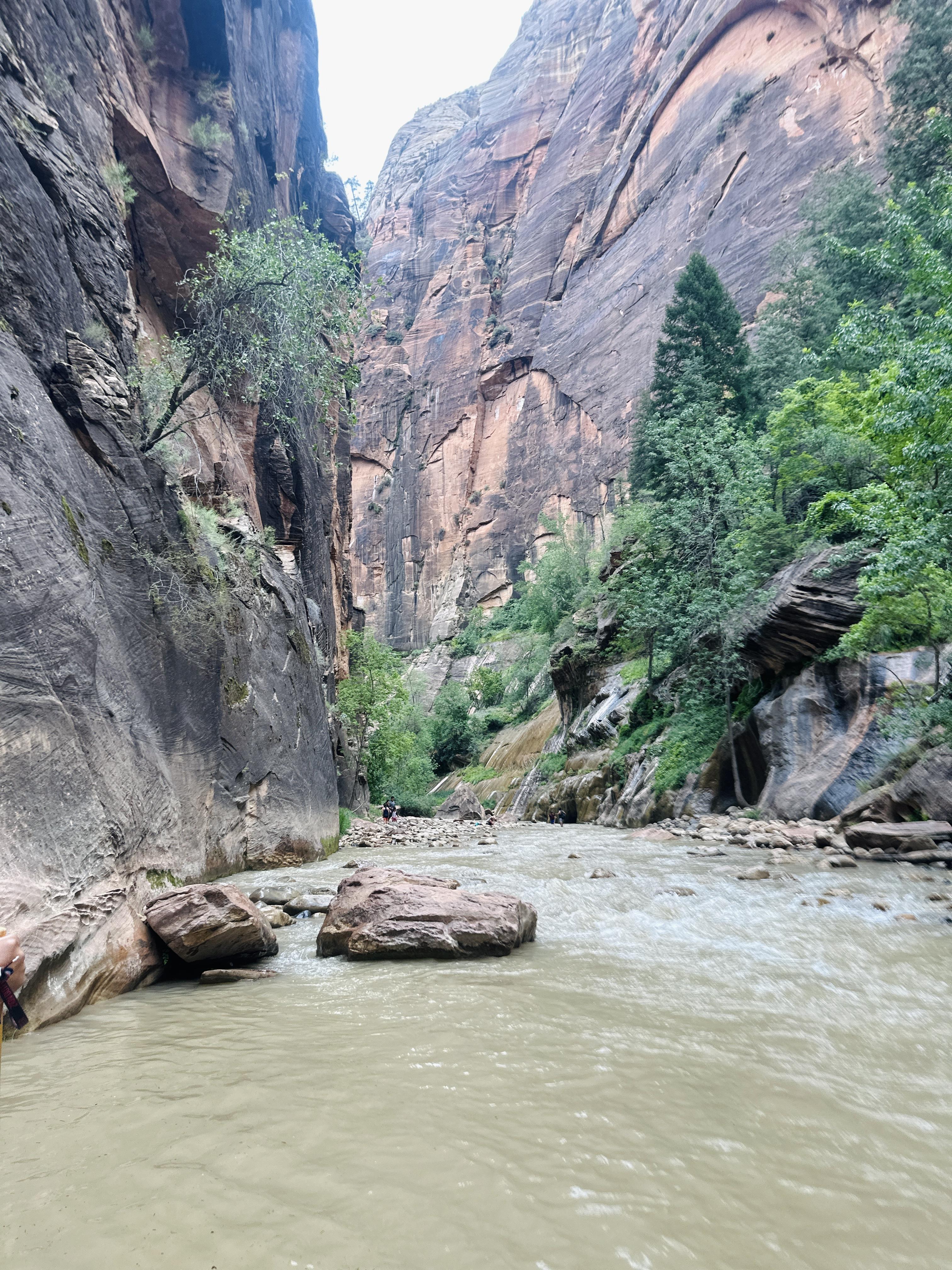 The Wedding Website of Standice Rumph and LaVonne Hall