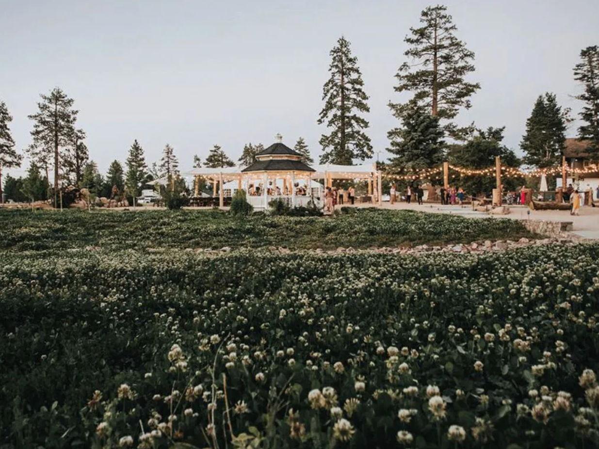 The Wedding Website of Jessica Messineo and Andrew MacCaskey
