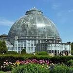 Anna Scripps Whitcomb Conservatory (located on Belle Isle)