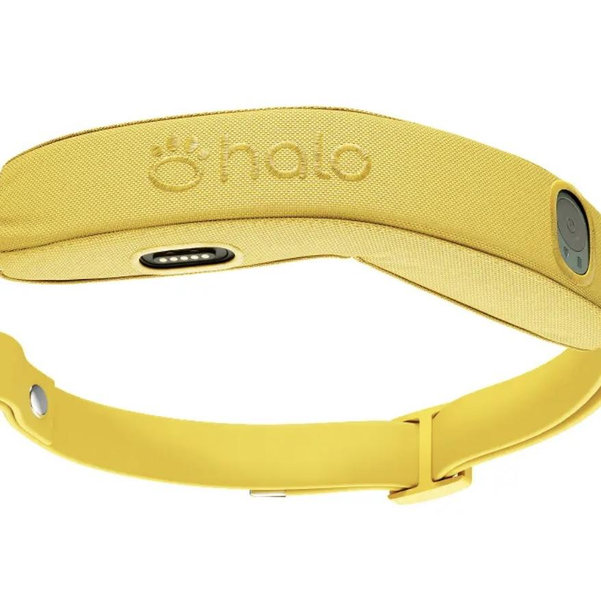 GPS Dog Fences | Halo Collar (Yellow) for Oakley 🐶