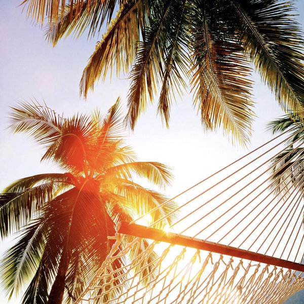 Nash Honeymoon Spending Contributions
