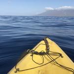 Maui Kayak Adventures LLC