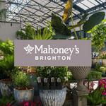 Mahoney's Garden Center